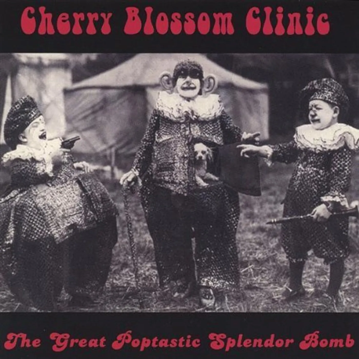 CHERRY BLOSSOM CLINIC CD