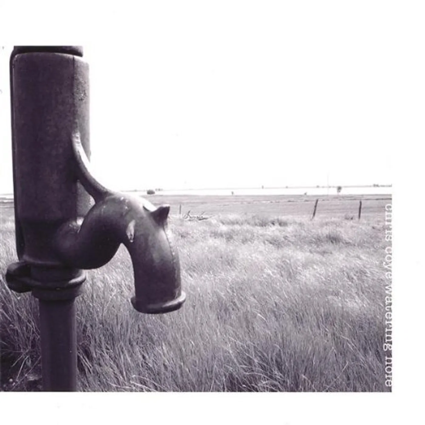 Chris Coye WATERING HOLE CD
