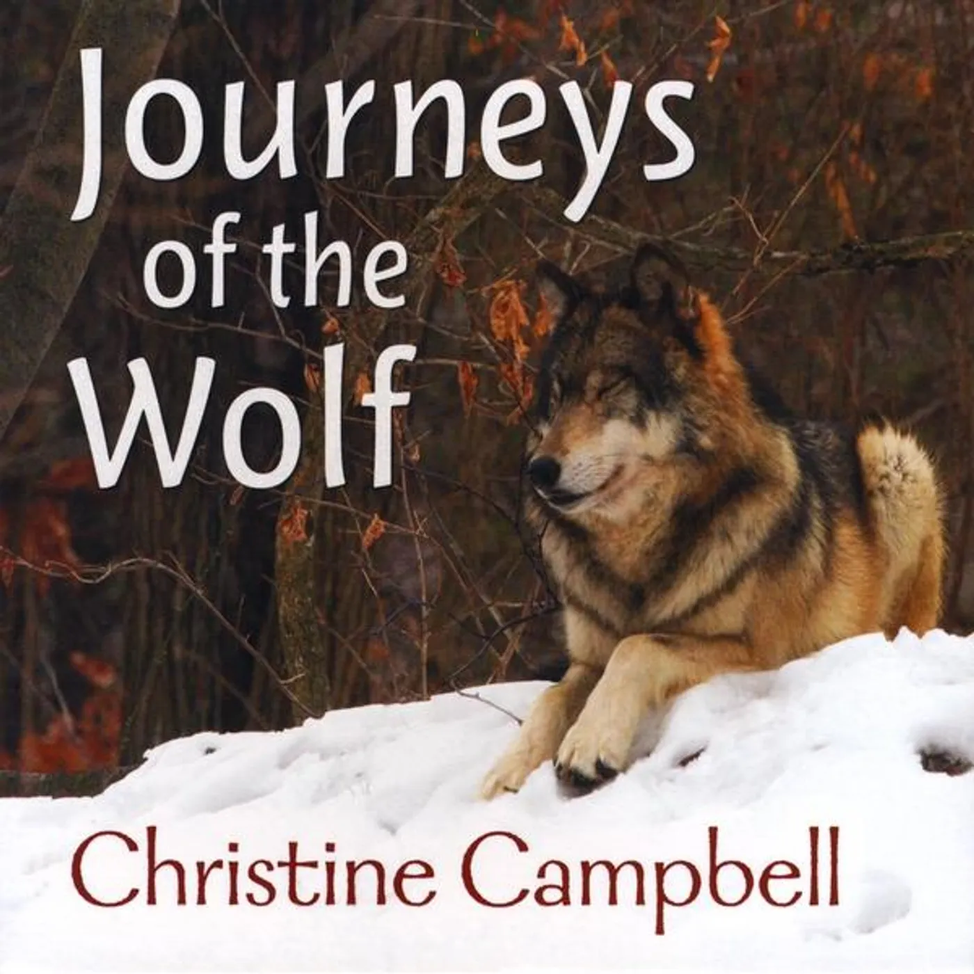 Christine Campbell JOURNEYS OF THE WOLF CD