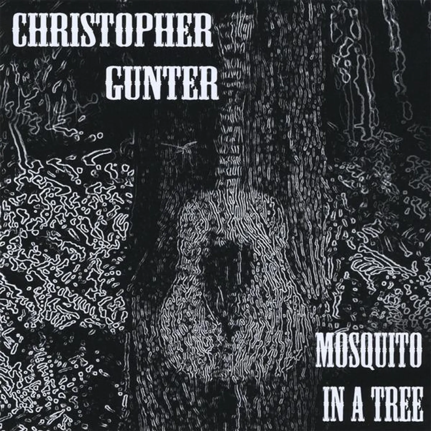 Christopher Gunter MOSQUITO IN A TREE CD