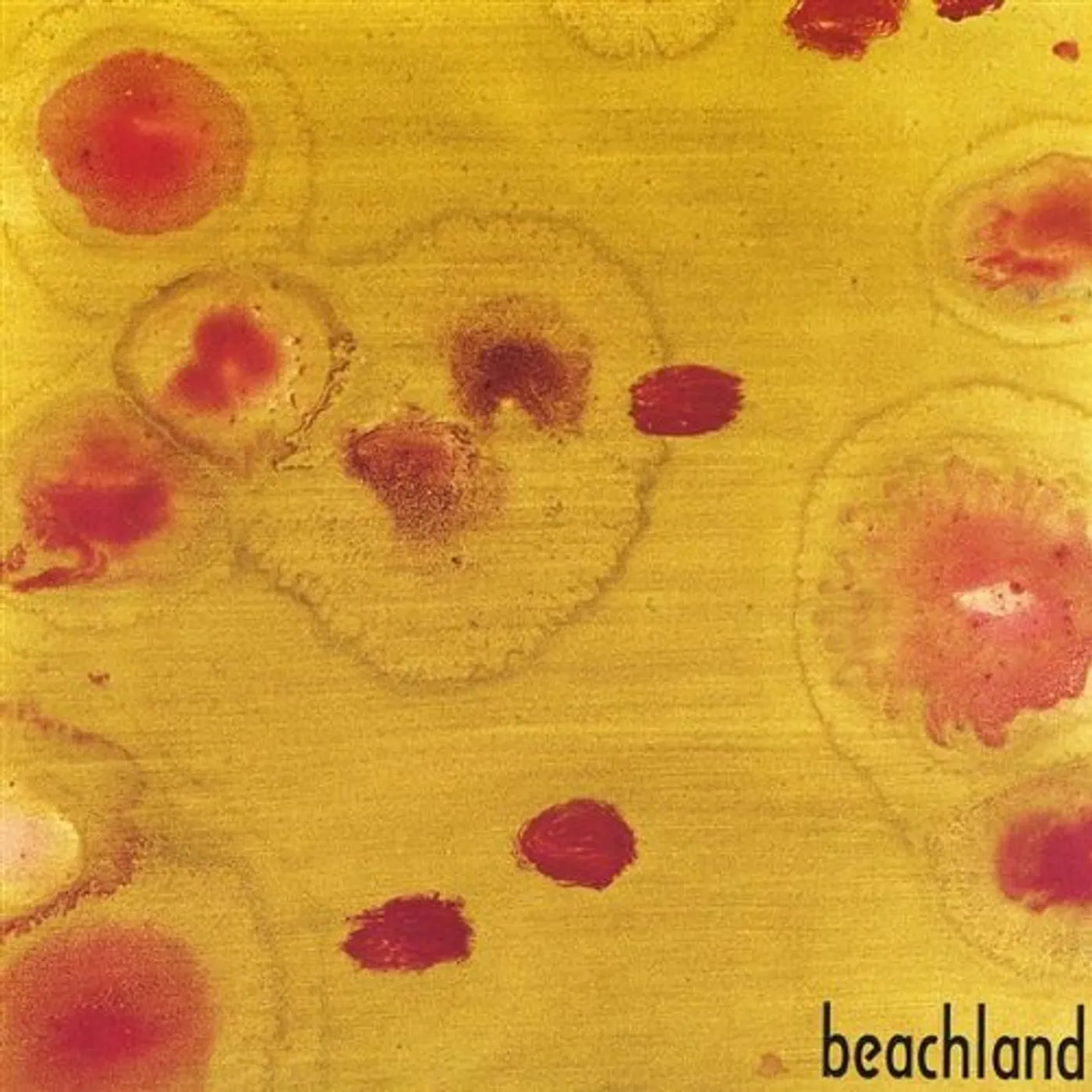 Drumplay BEACHLAND CD