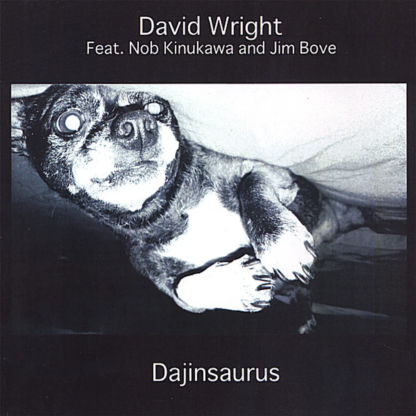 David Wright DAJINOSAURUS CD