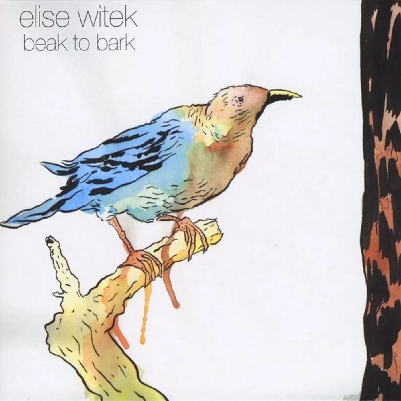 Elise Witek BEAK TO BARK CD