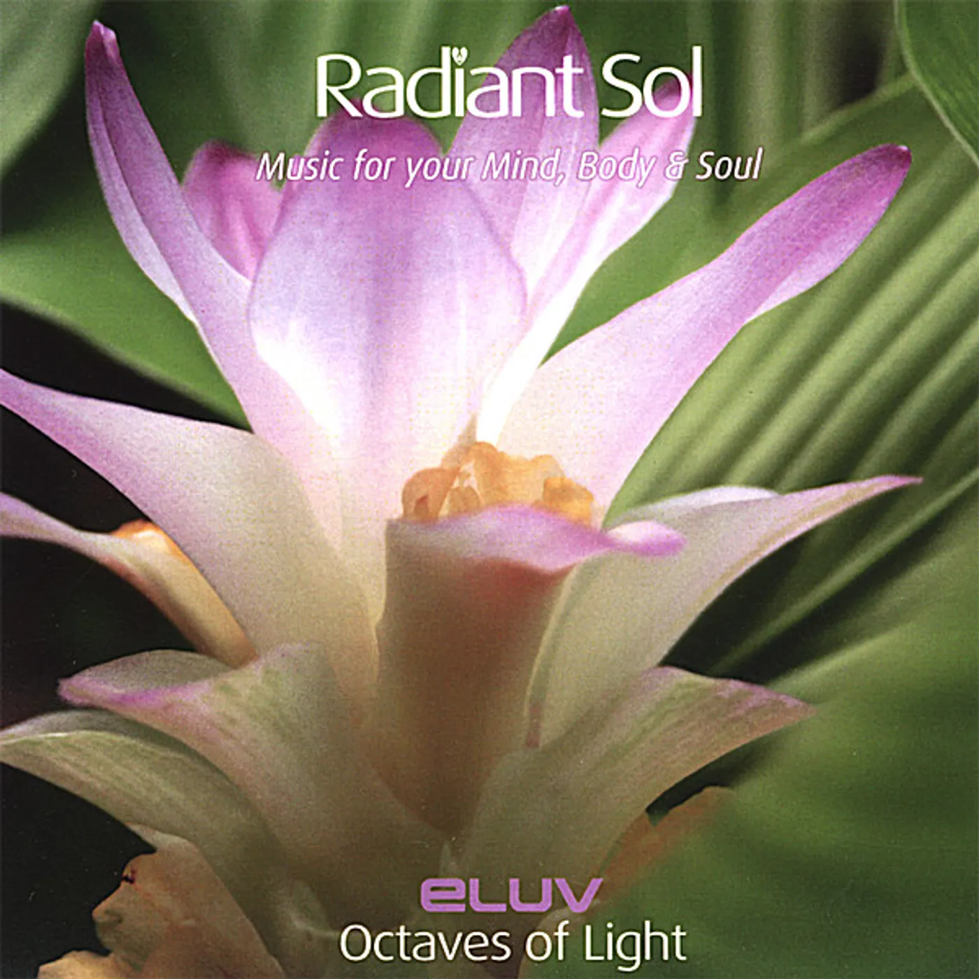 Eluv OCTAVES OF LIGHT CD