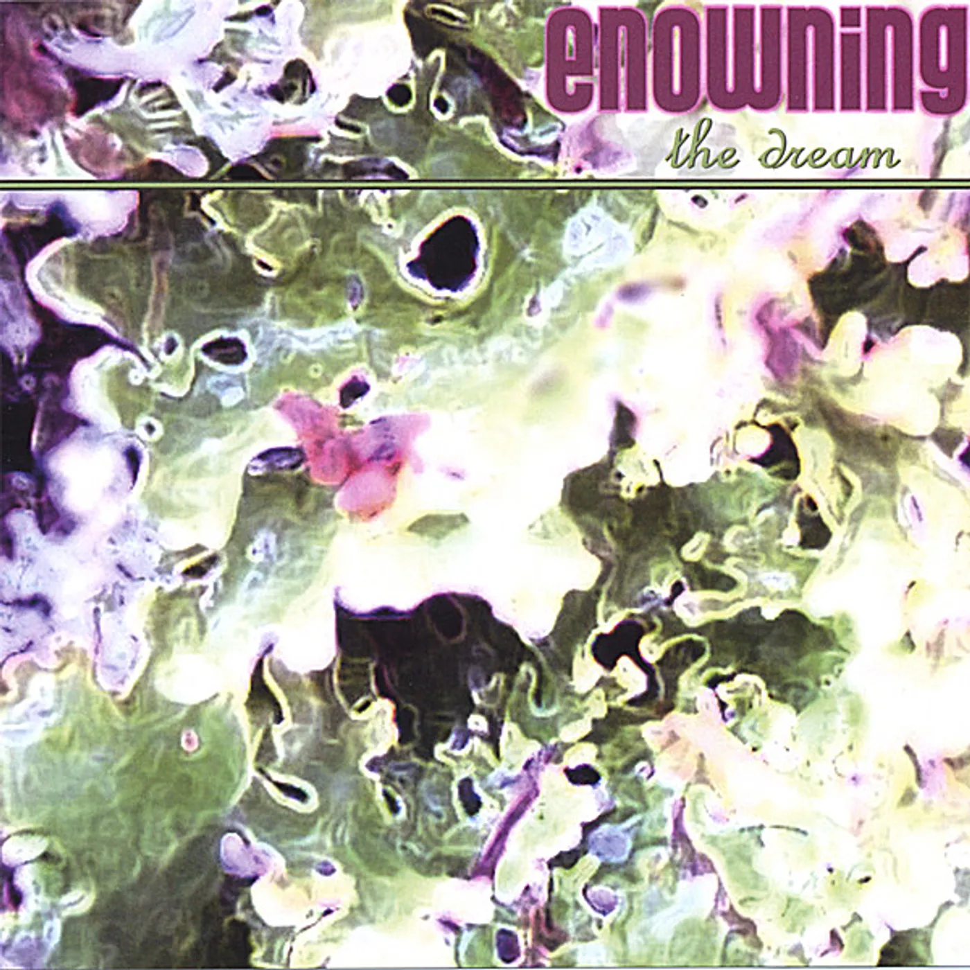 Enowning DREAM CD
