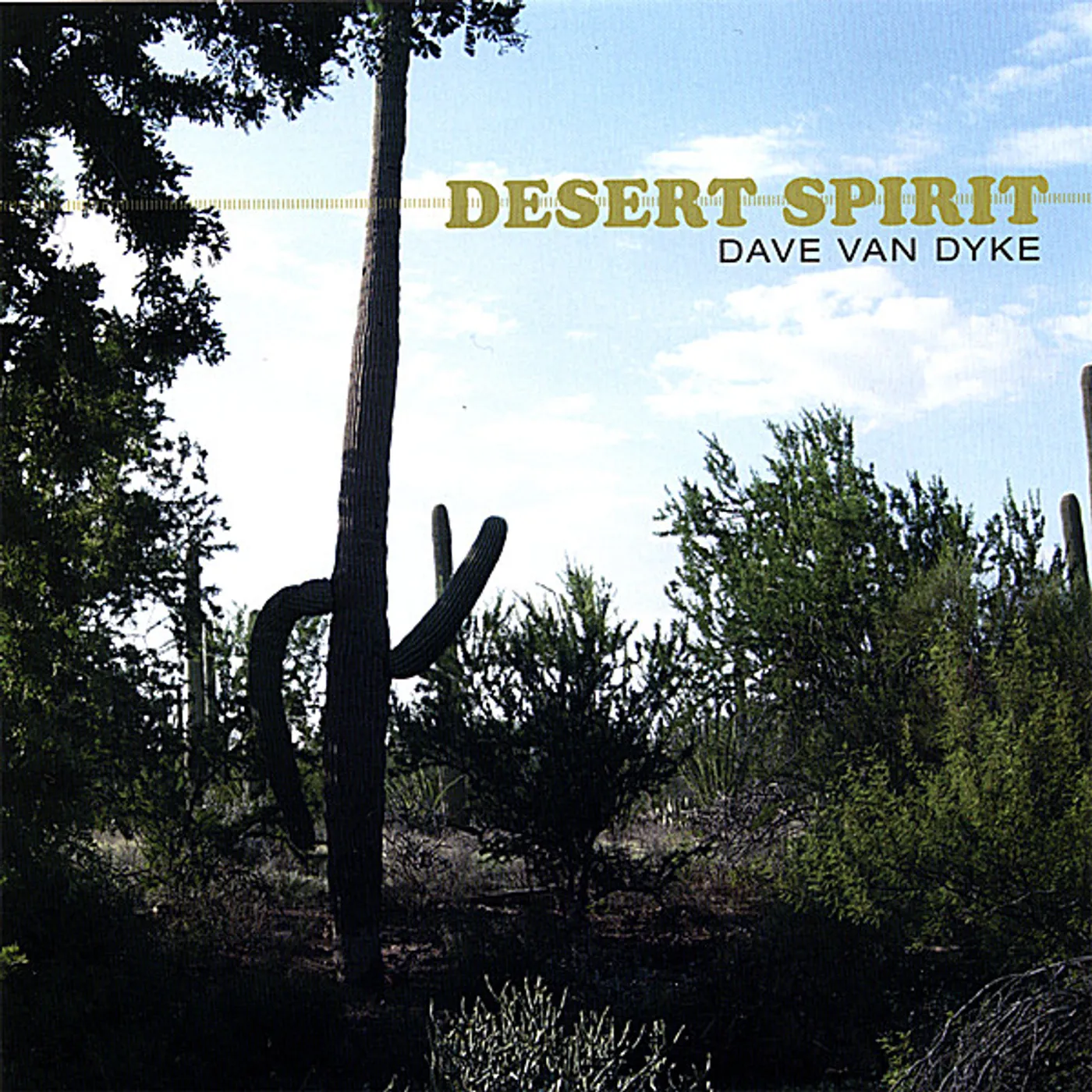 Dave Van Dyke DESERT SPIRIT CD