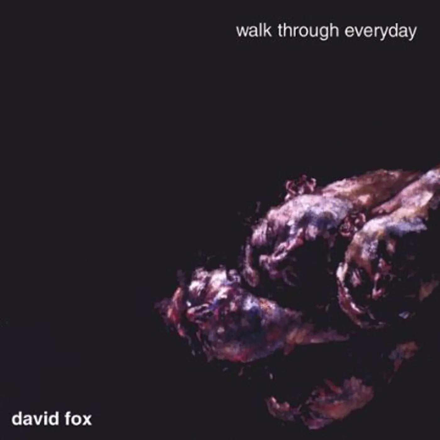 David Fox WALK THROUGH EVERYDAY CD