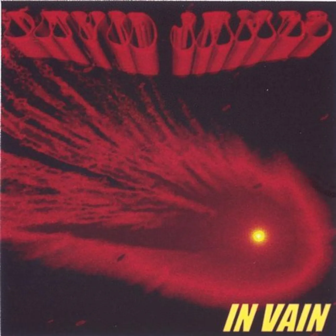 David James IN VAIN CD