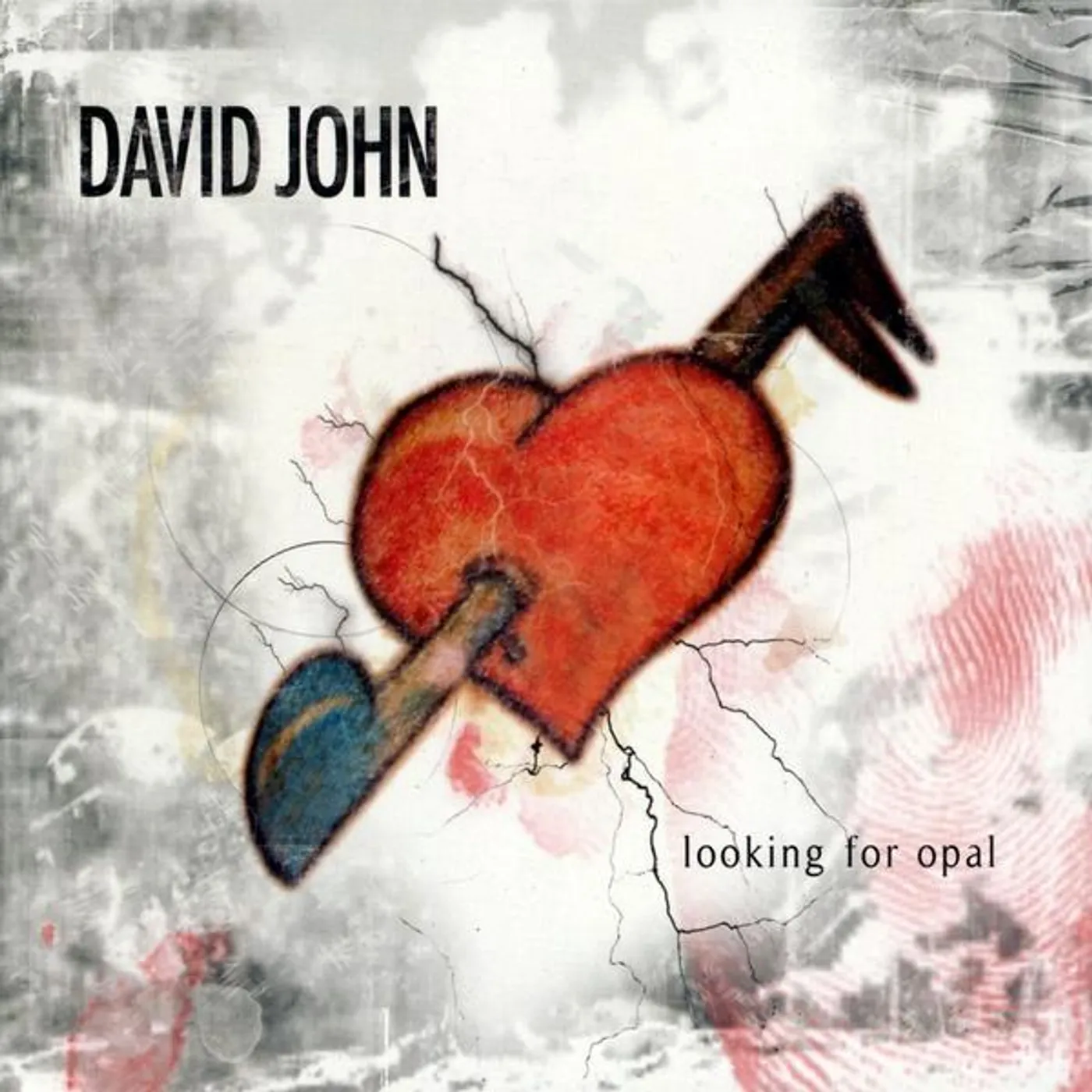 John David LOOKING FOR OPAL CD