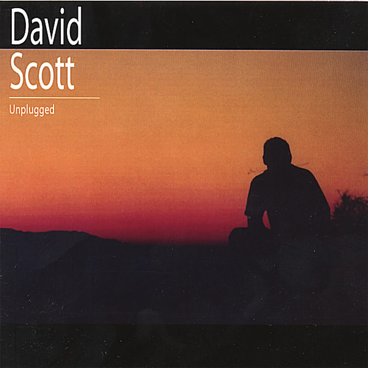 DAVID SCOTT UNPLUGGED CD