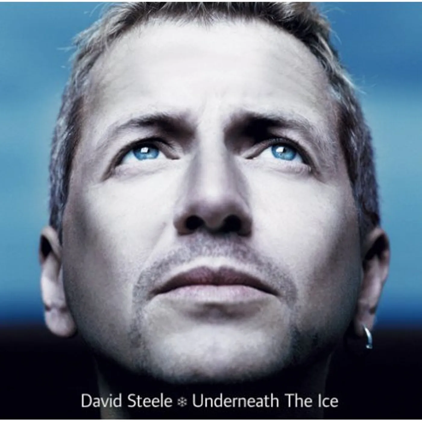 David Steele UNDERNEATH THE ICE CD