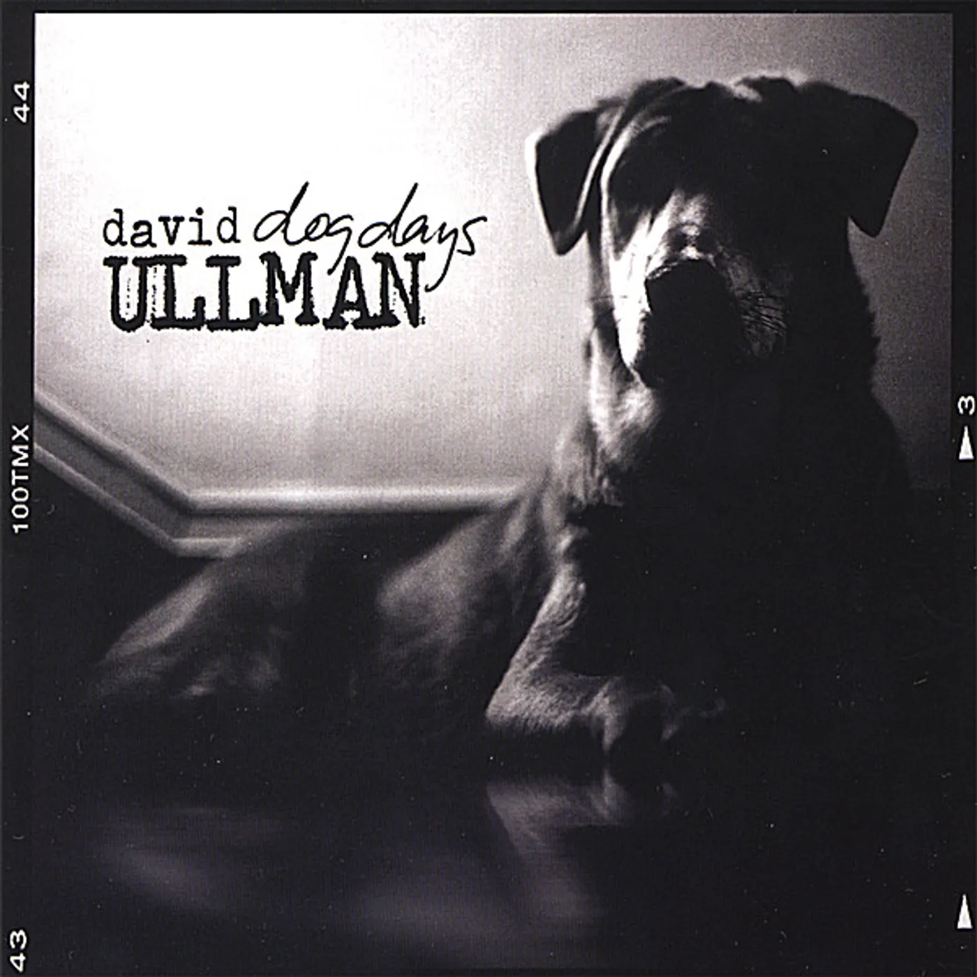 David Ullman DOG DAYS CD