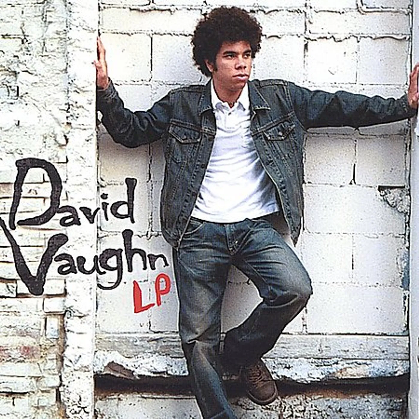 DAVID VAUGHN Vinyl Record