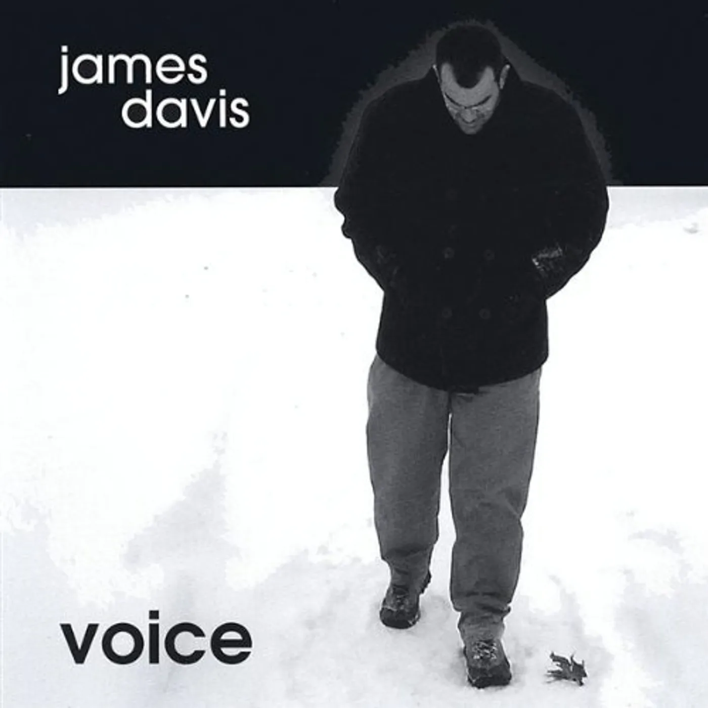 James Davis VOICE CD