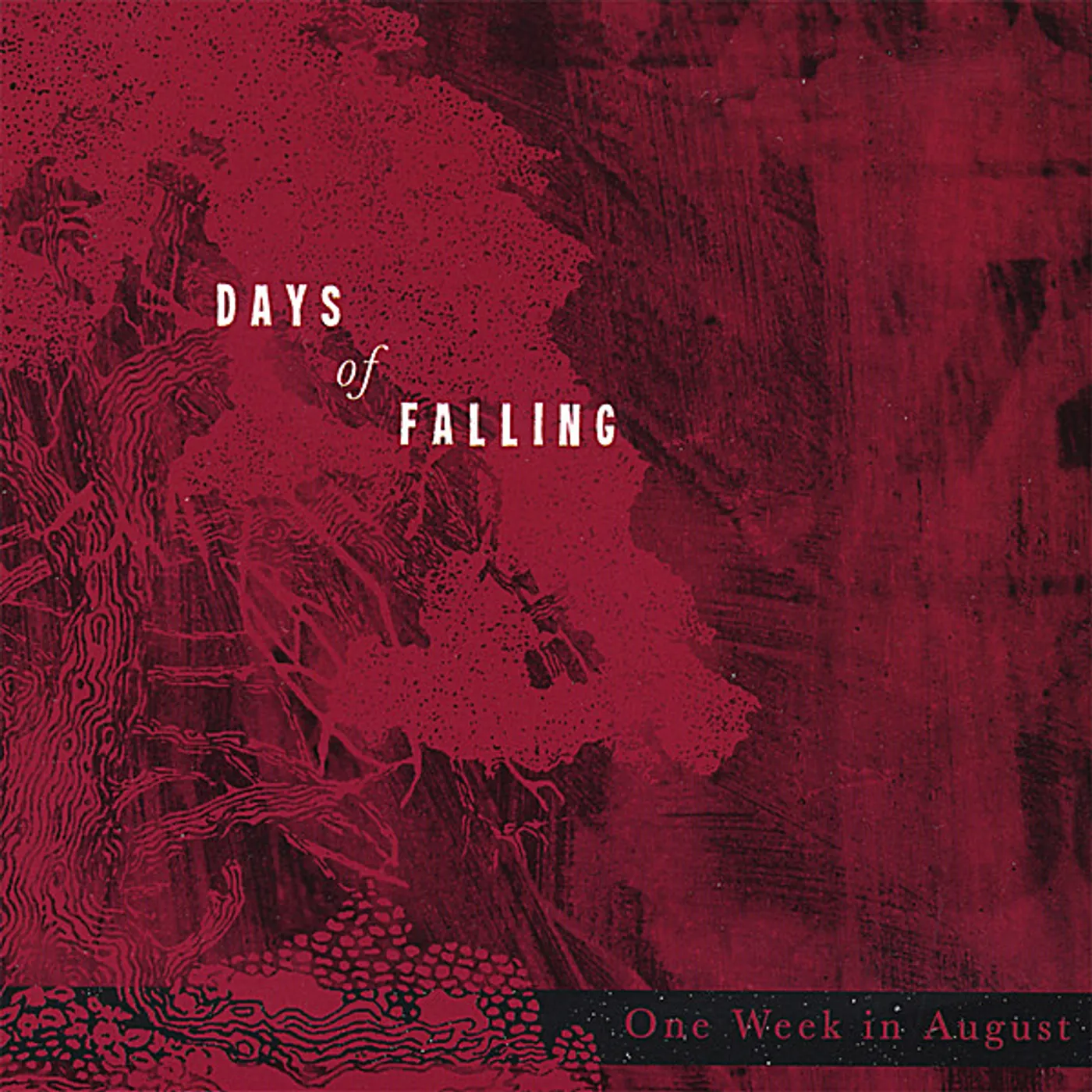 Days of Falling ONE WEEK IN AUGUST CD