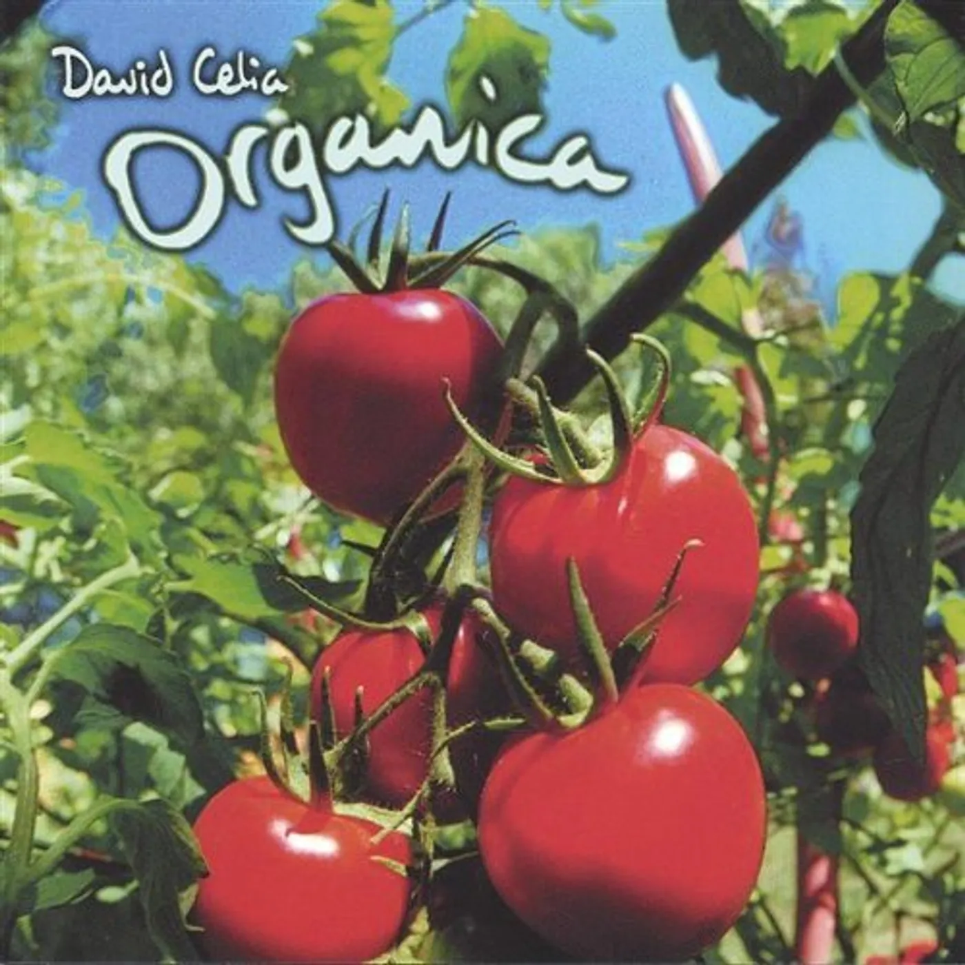 David Celia ORGANICA CD