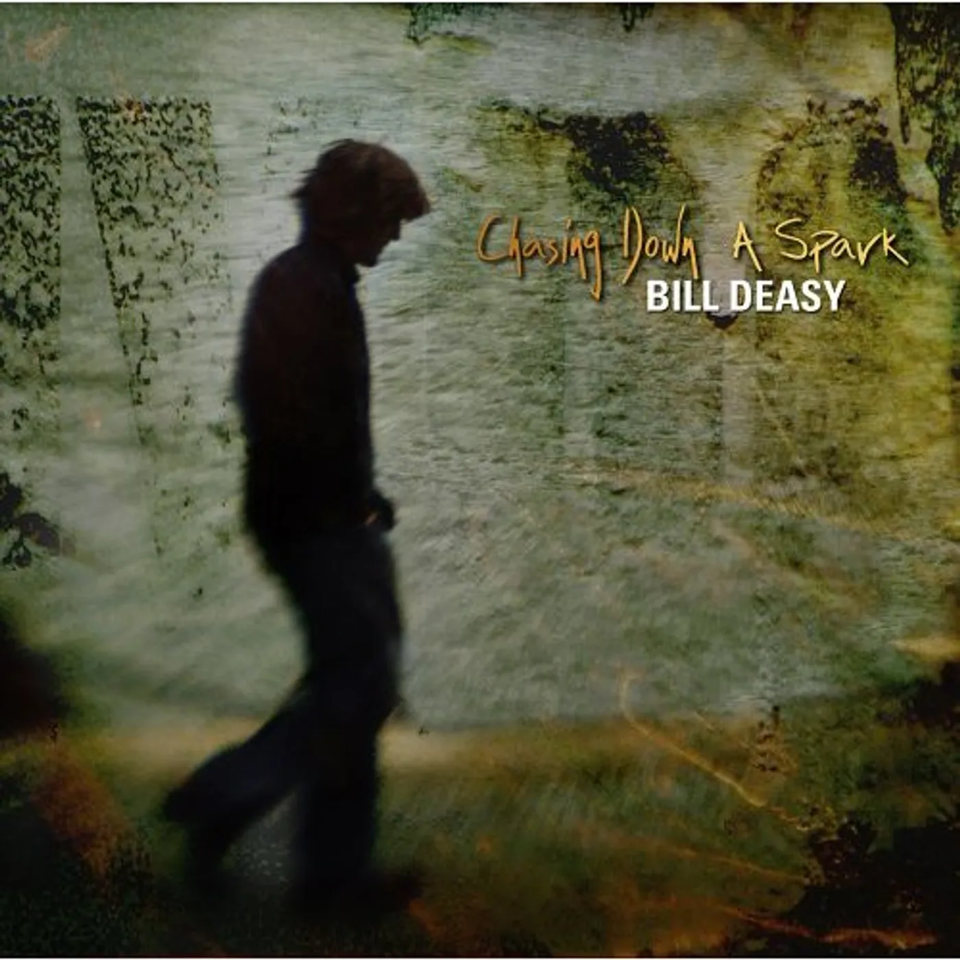 Bill Deasy CHASING DOWN A SPARK CD