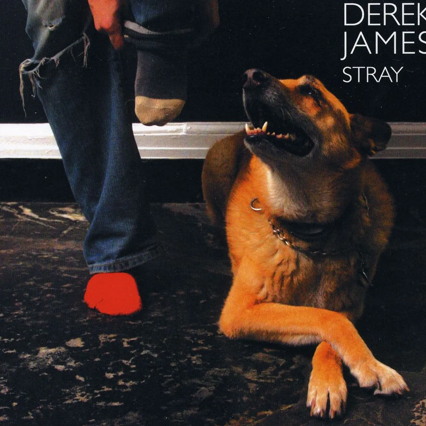 Derek James STRAY CD