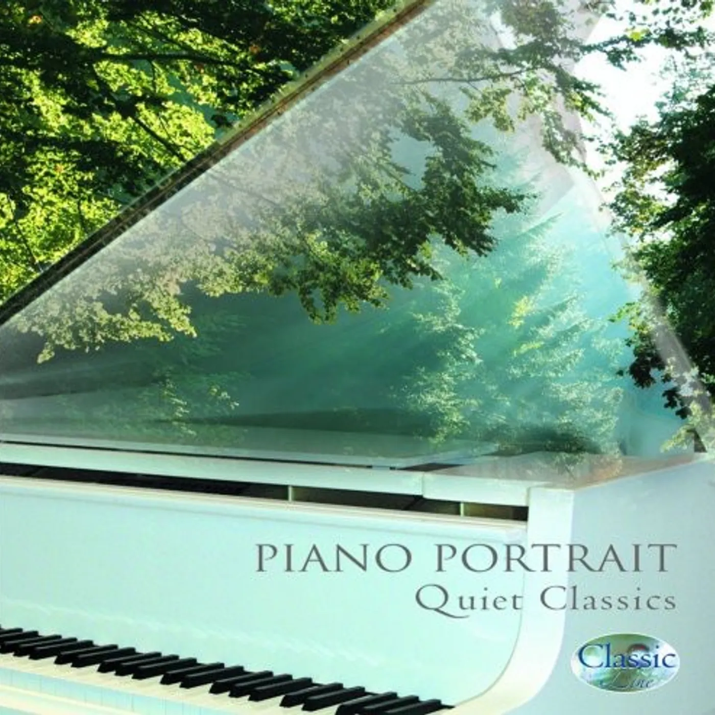 Detlev Eisinger PIANO PORTRAIT QUIET CLASSICS CD