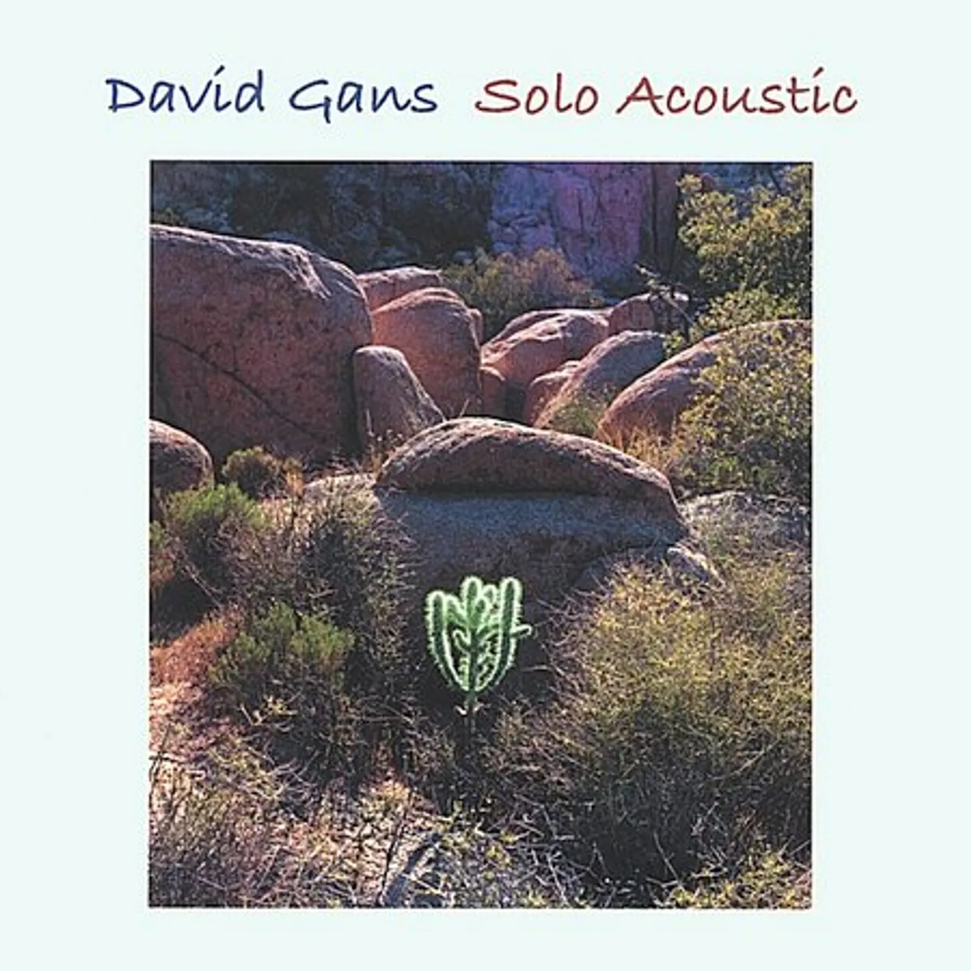 David Gans SOLO ACOUSTIC CD