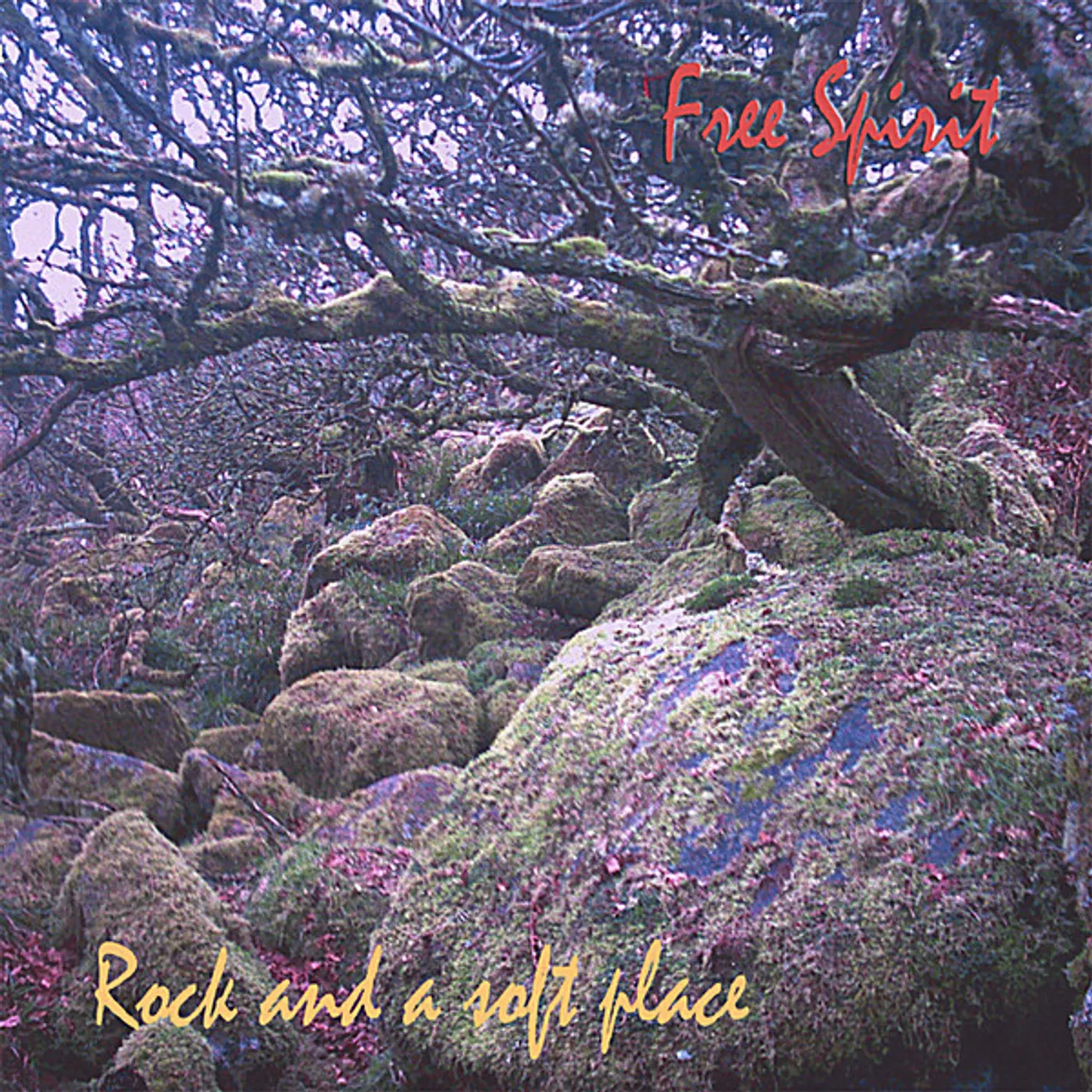 Free Spirit ROCK & A SOFT PLACE CD