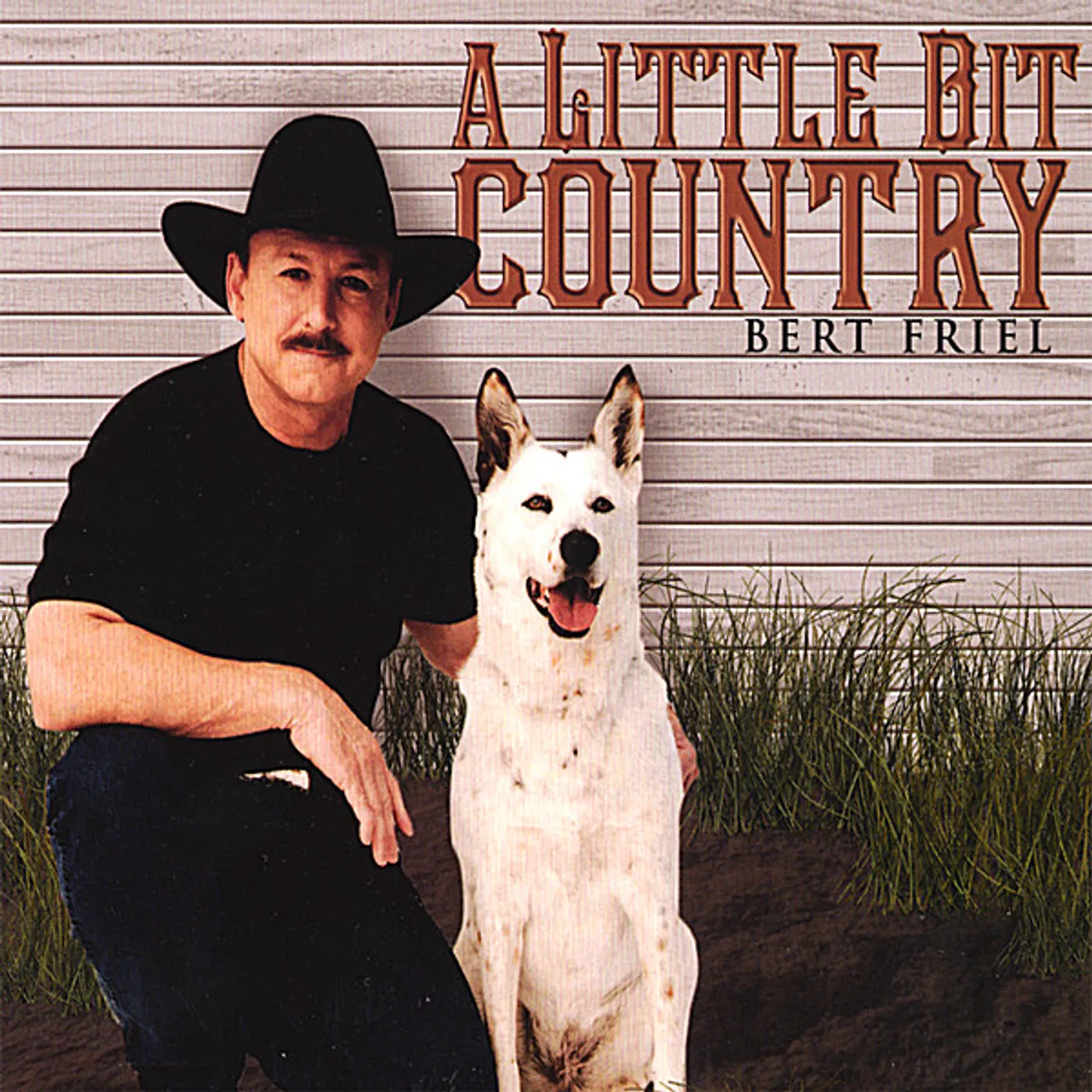 Bert Friel LITTLE BIT COUNTRY CD