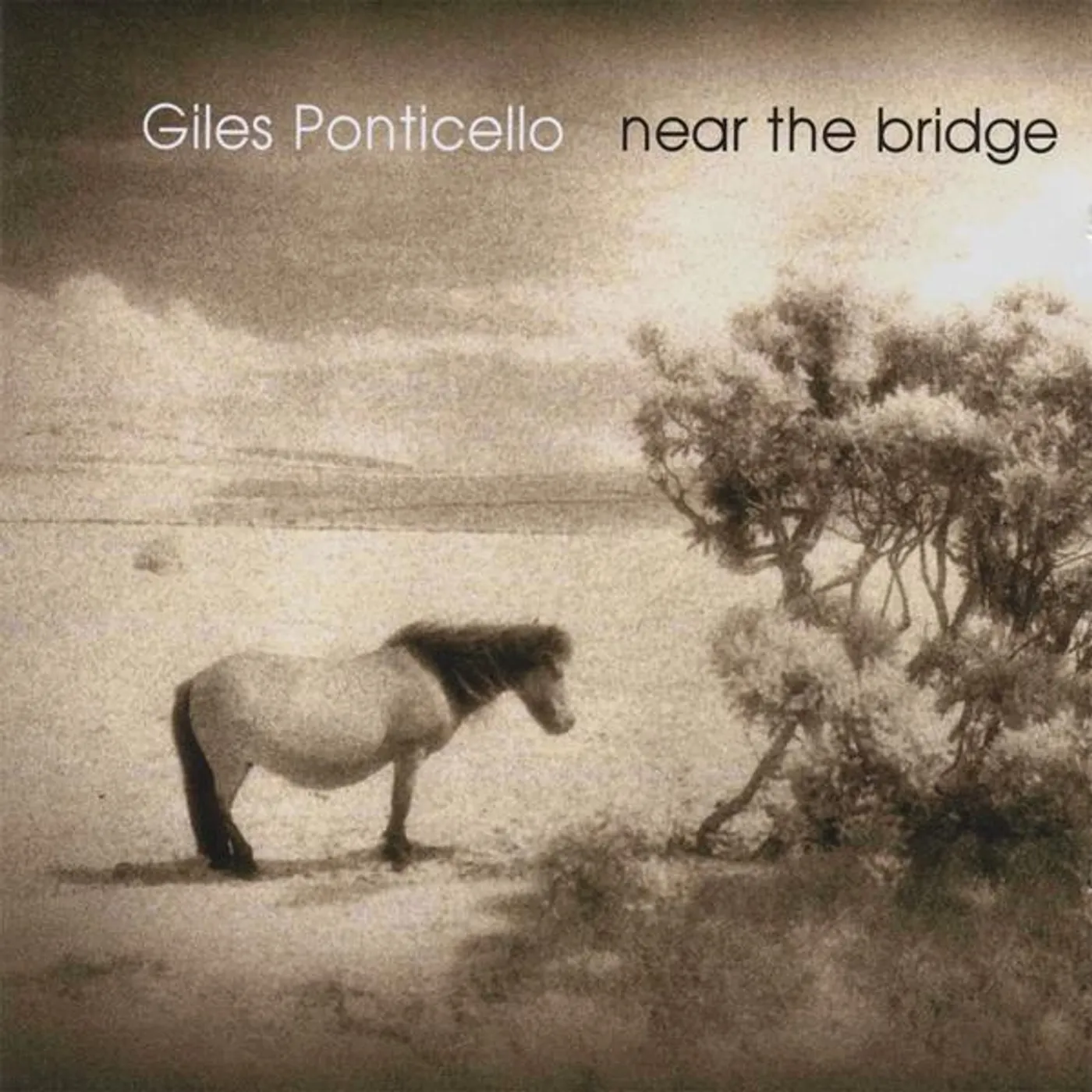 Giles Ponticello NEAR THE BRIDGE CD