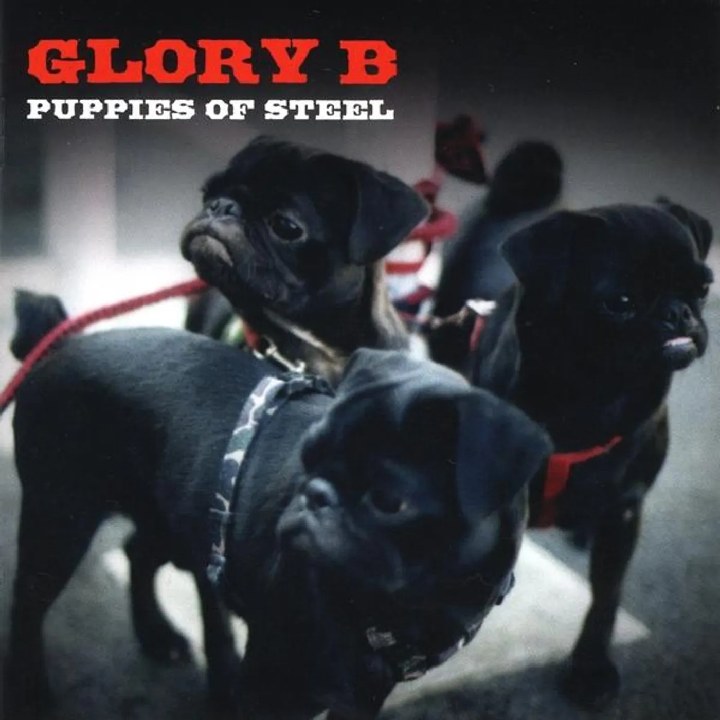 Glory B PUPPIES OF STEEL CD