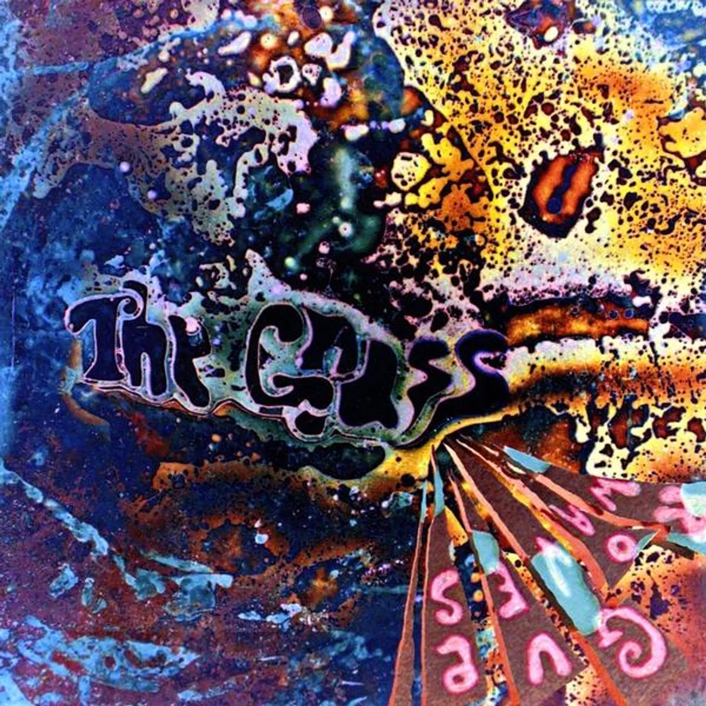 Grass ROGUE WAVES CD