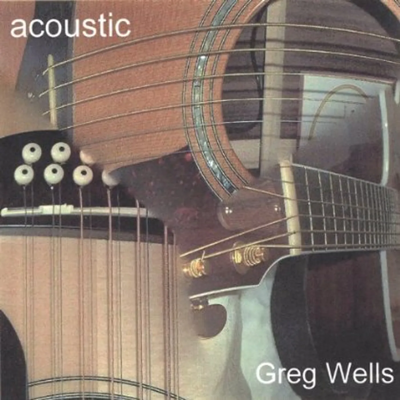 Greg Wells ACOUSTIC CD