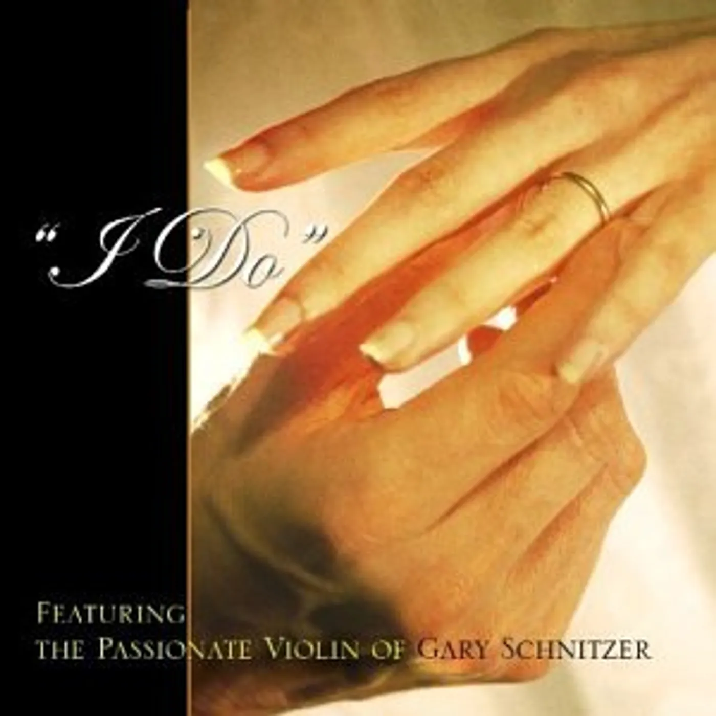 Gary Schnitzer I DO CD