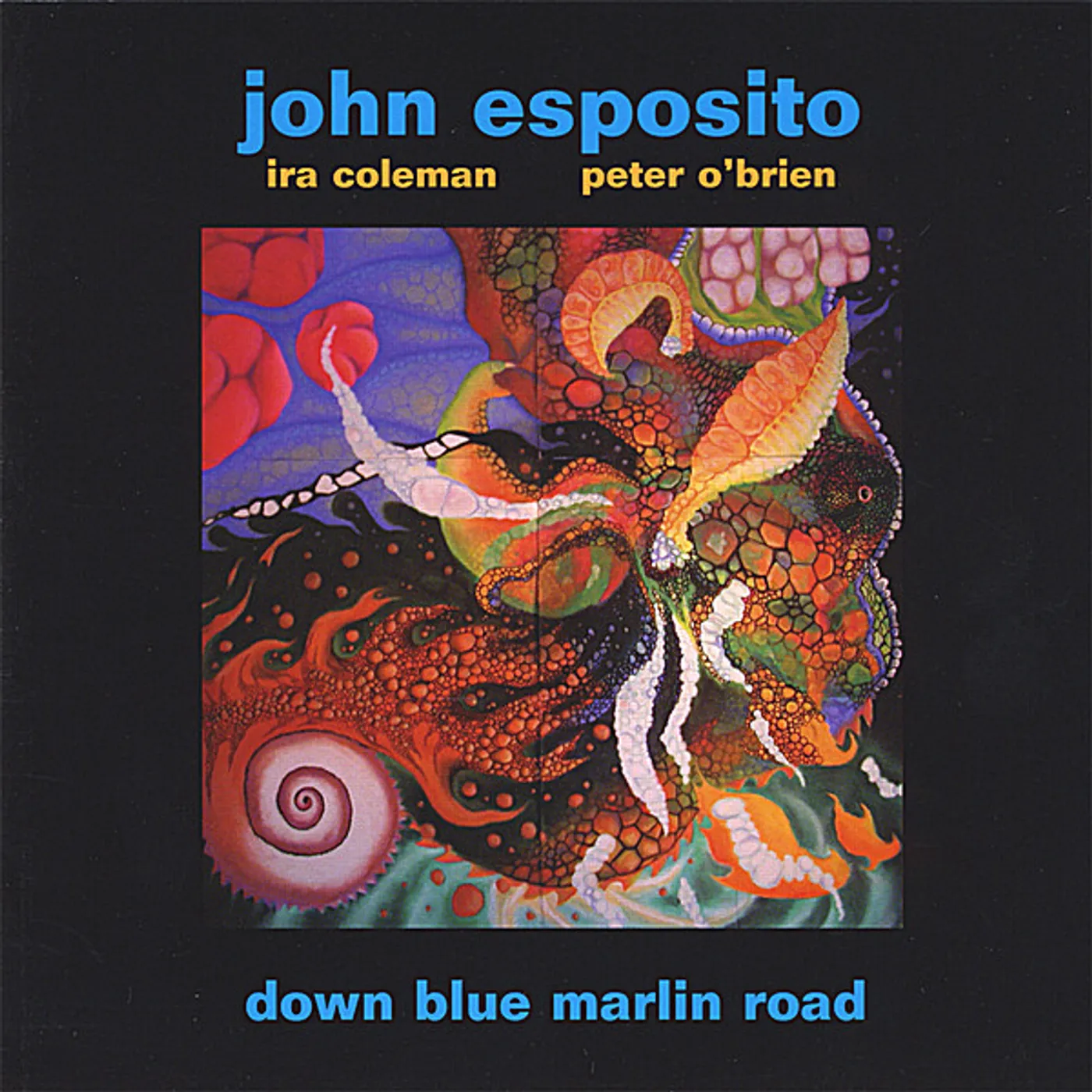 John Esposito DOWN BLUE MARLIN ROAD CD