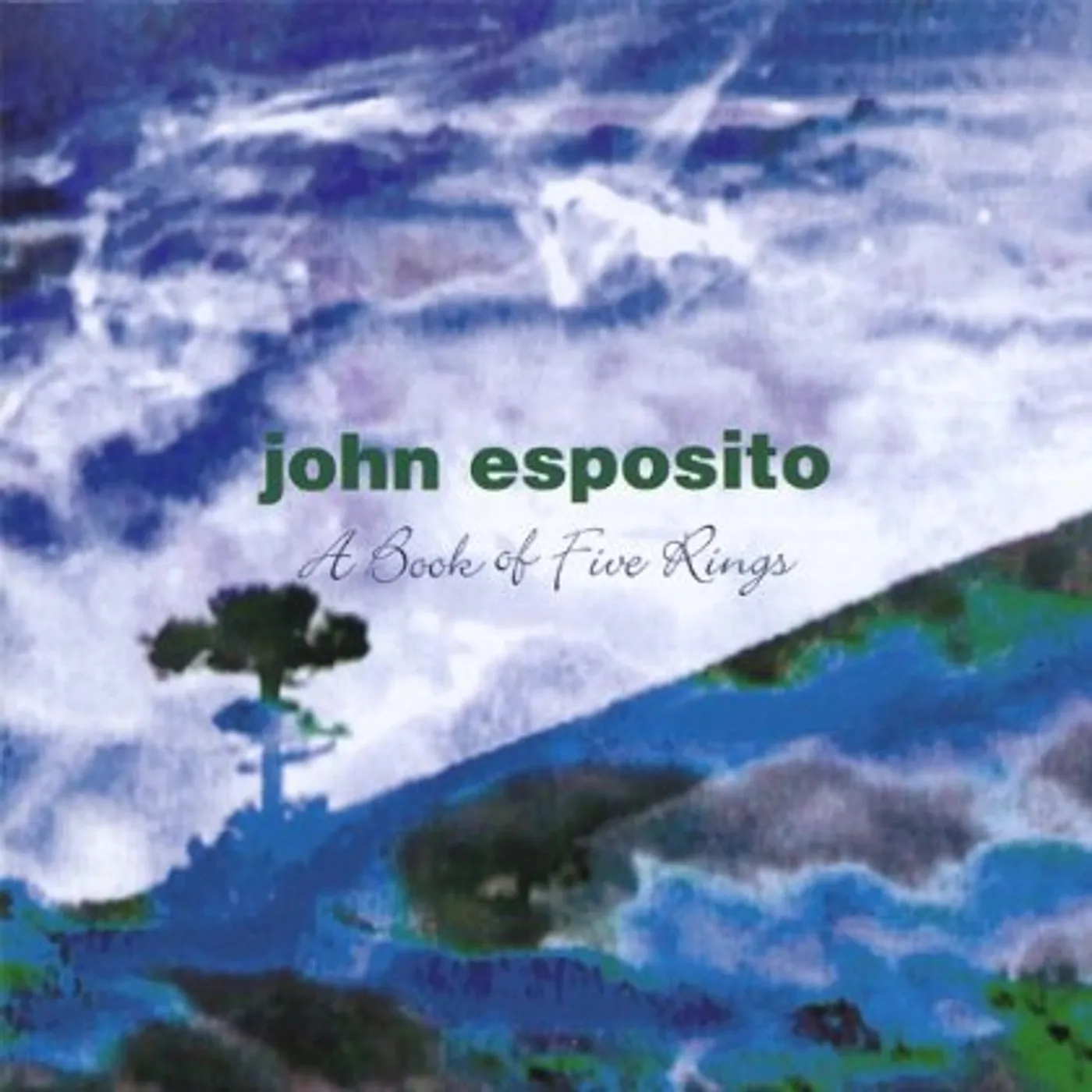 John Esposito A BOOK OF FIVE RINGS CD