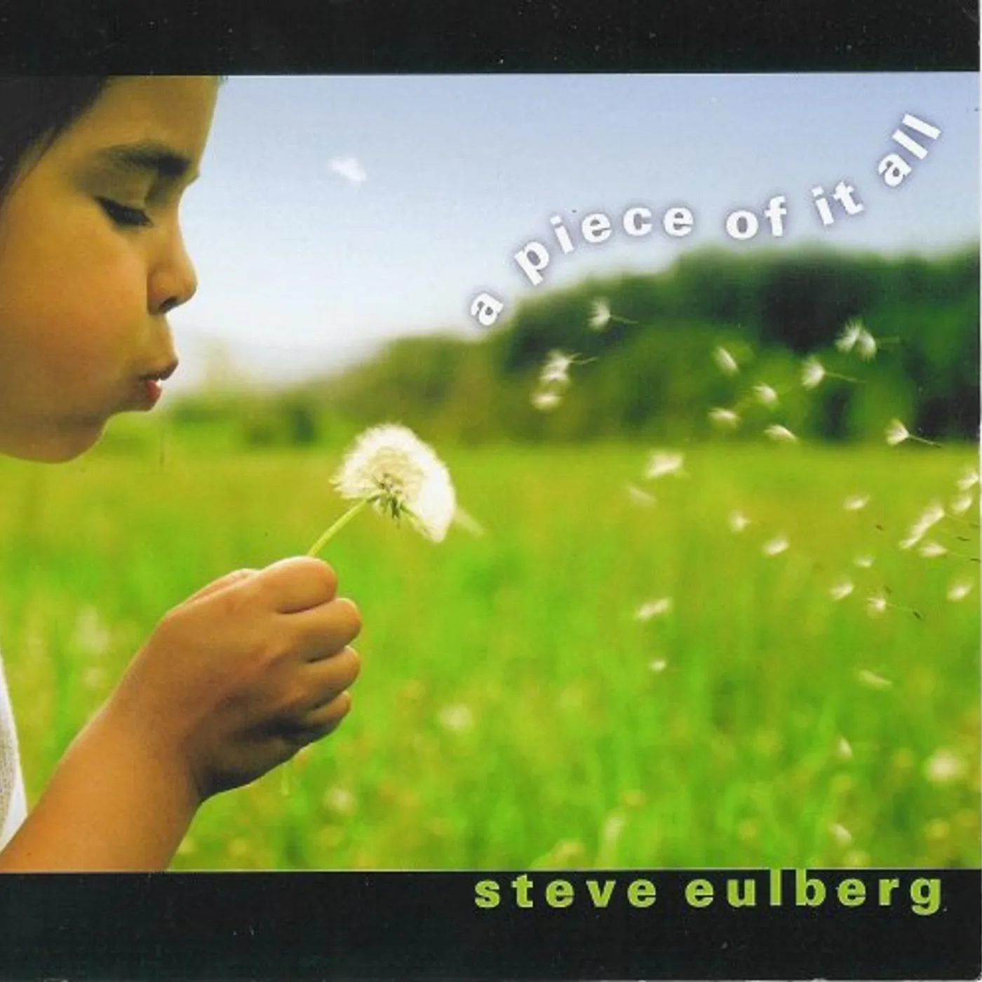 Steve Eulberg PIECE OF IT ALL CD