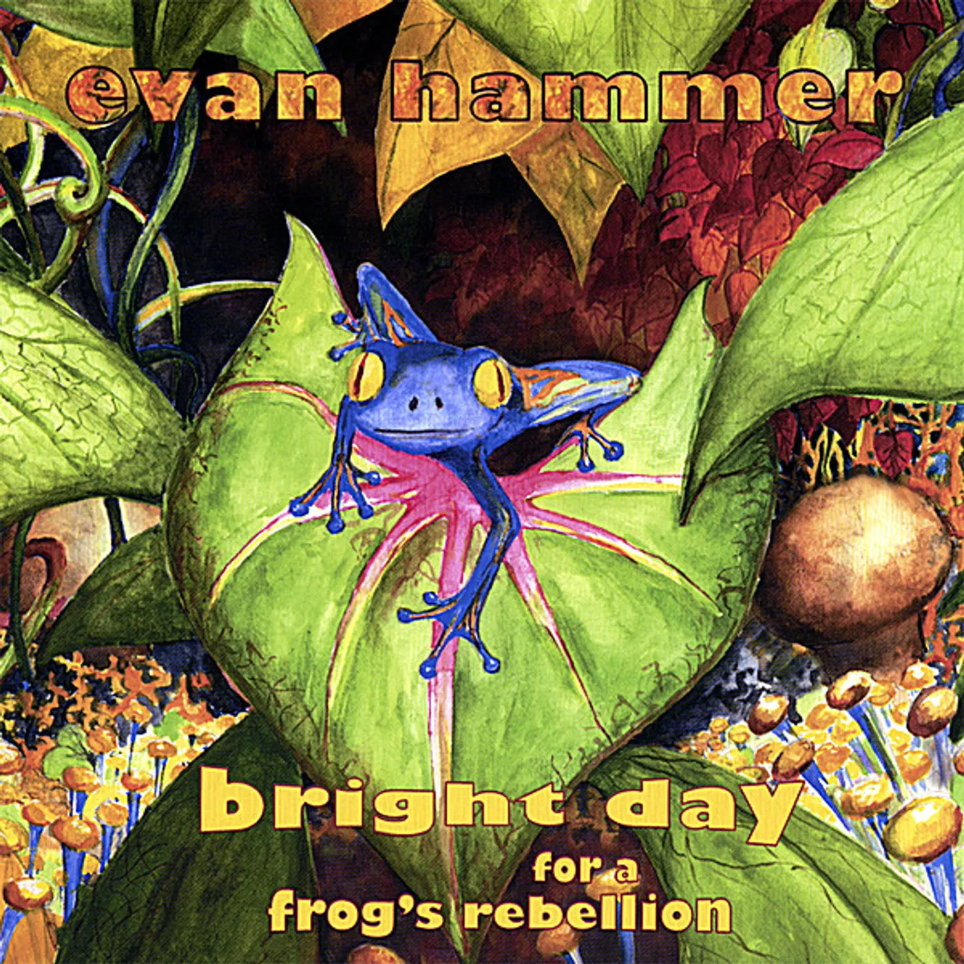 Evan Hammer BRIGHT DAY FOR A FROG'S REBELLION CD