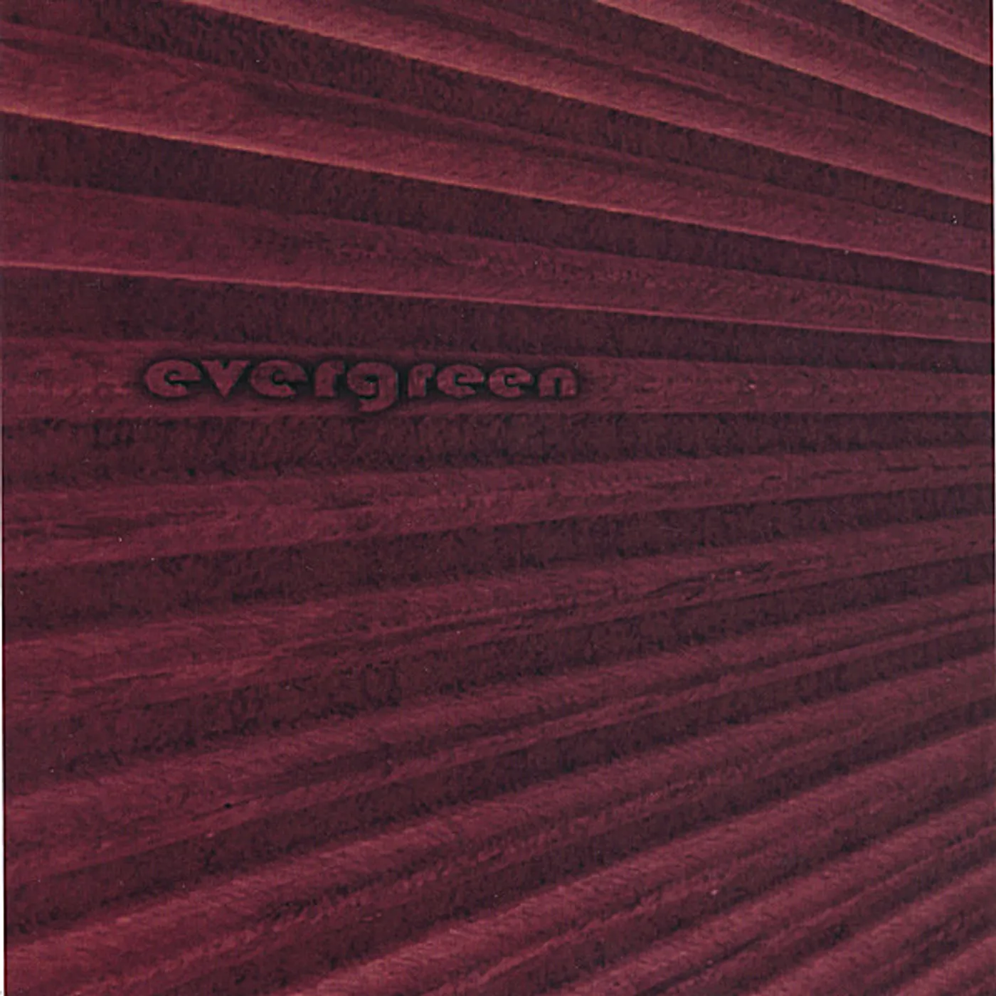 Evergreen THIS BRAINSTORM IS NOW A FLOOD CD