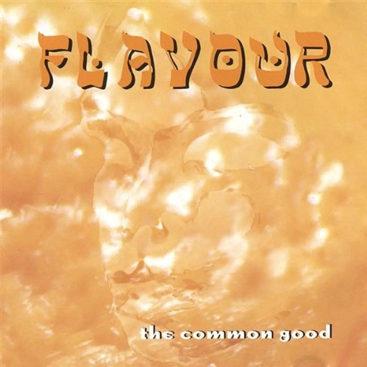 FLAVOUR VS. ERIC NICHOLAS CD