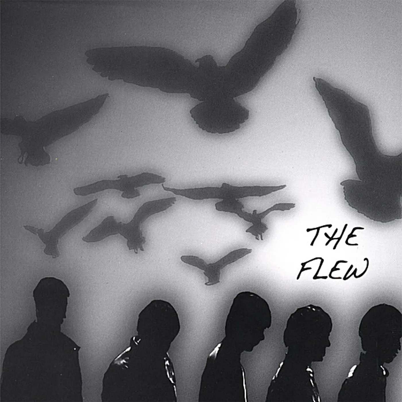 FLEW CD