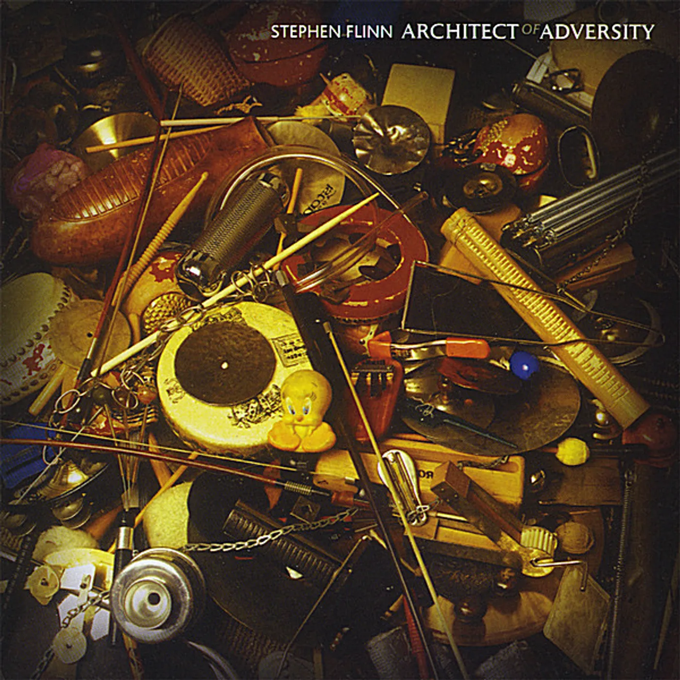 Stephen Flinn ARCHITECT OF ADVERSTIY CD