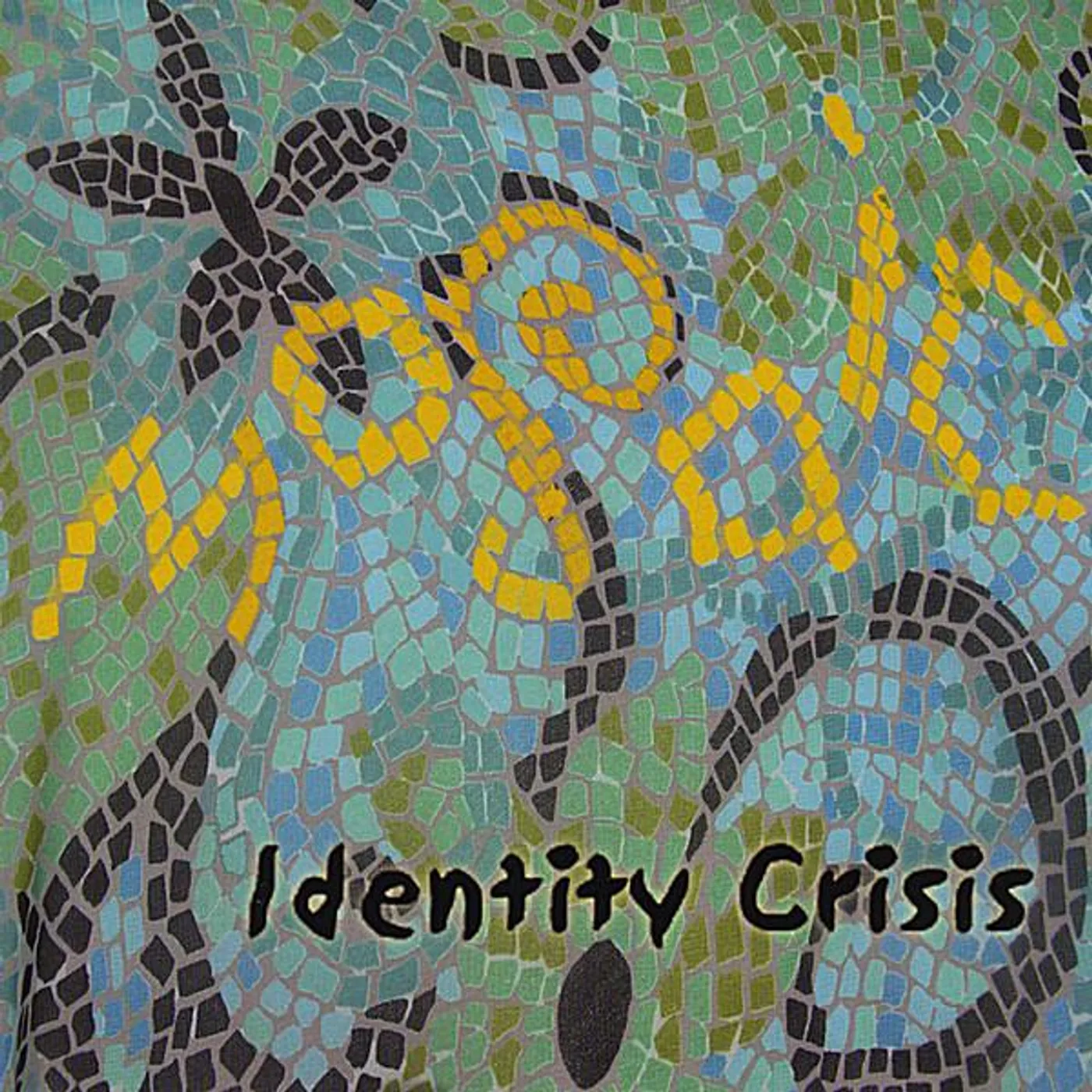 Identity Crisis MOSAIC CD
