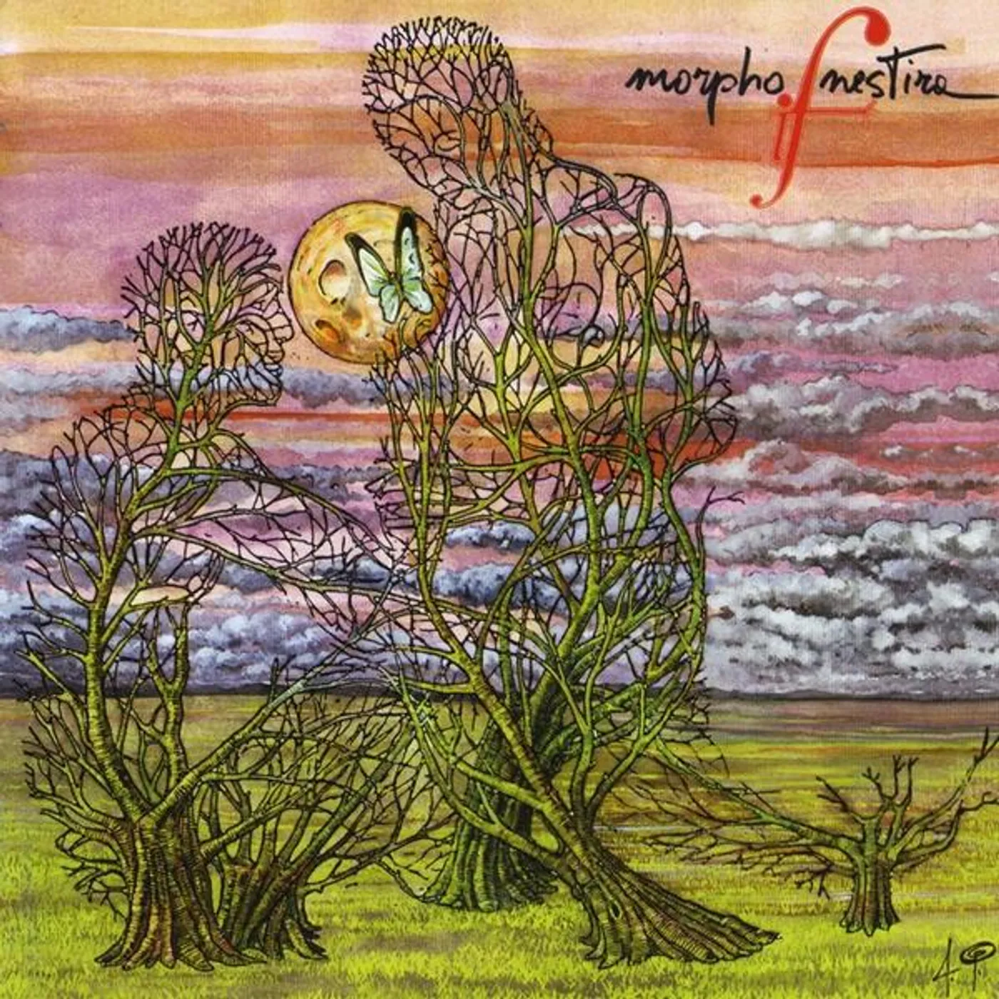 If MORPHO NESTIRA CD
