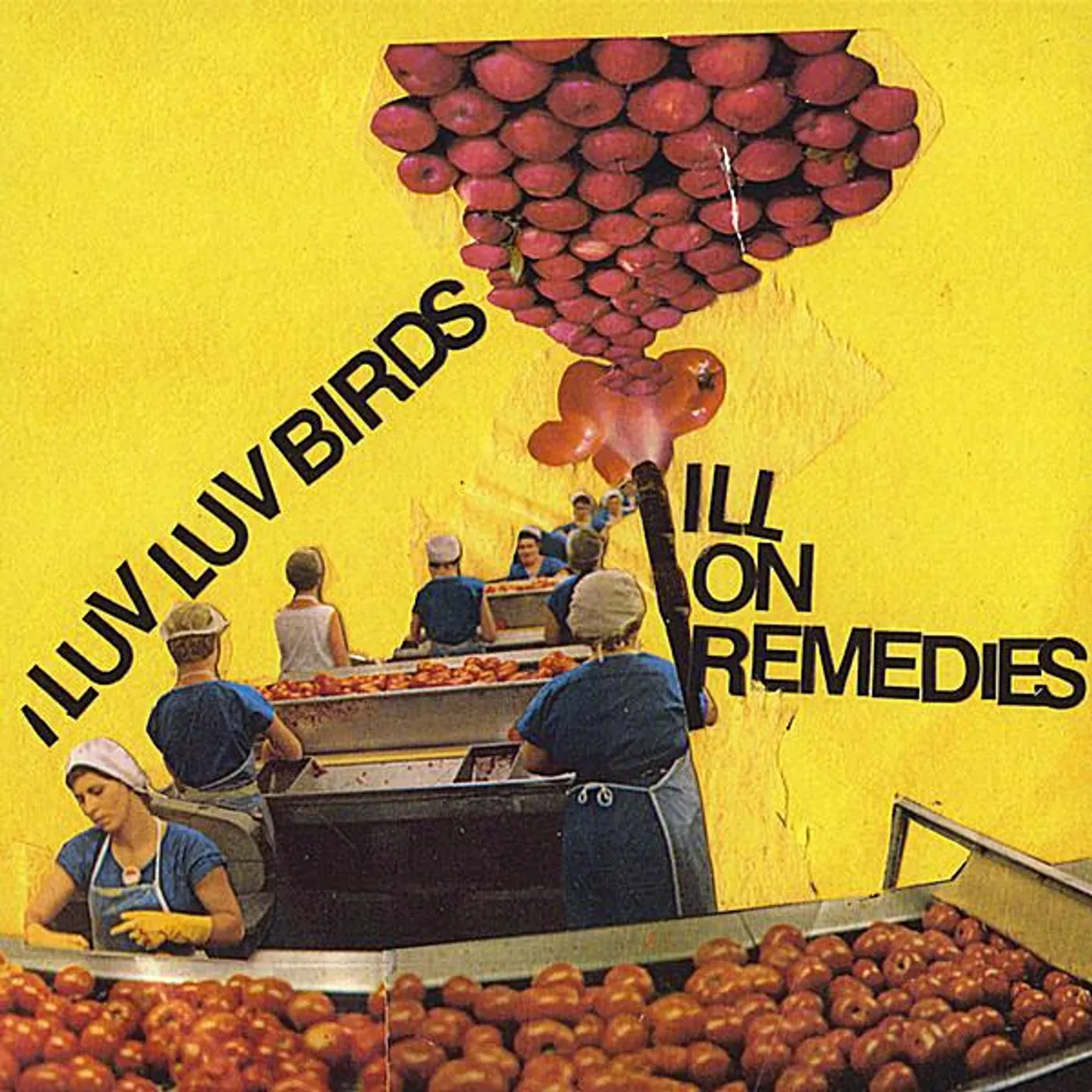 I Luv Luv Birds ILL ON REMEDIES CD
