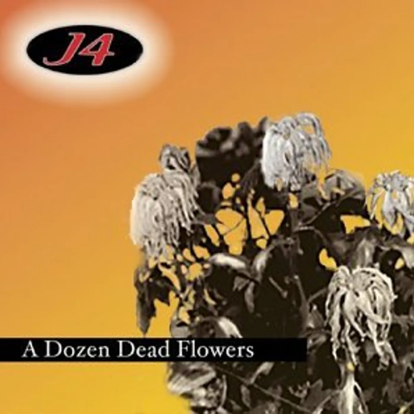 J4 DOZEN DEAD FLOWERS CD