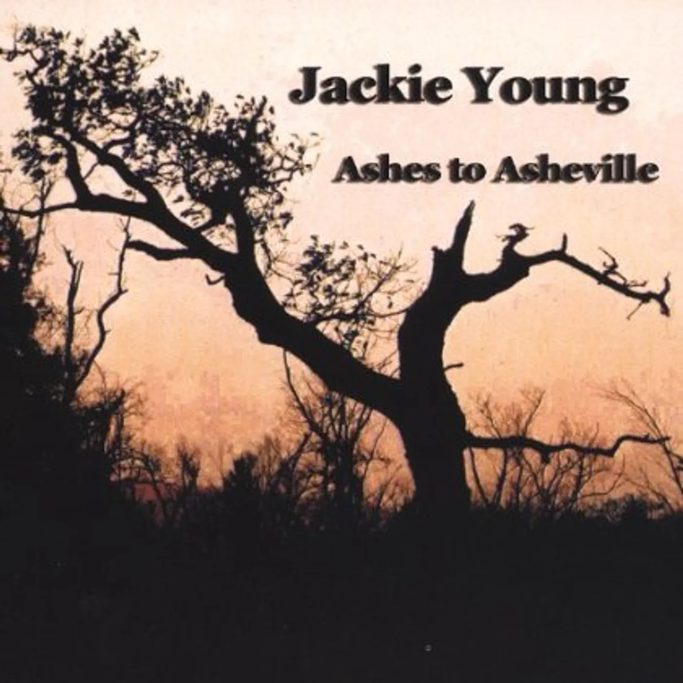 Jackie Young ASHES TO ASHEVILLE CD
