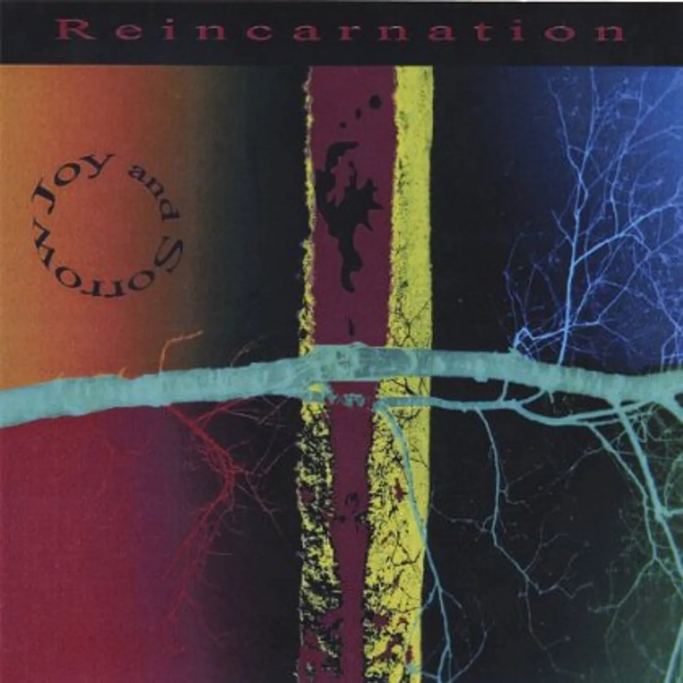 Reincarnation JOY & SORROW CD