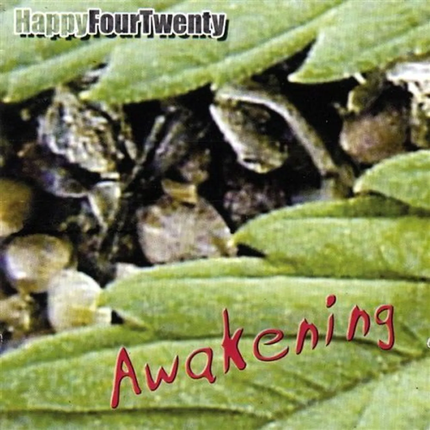 Happyfourtwenty AWAKENING CD