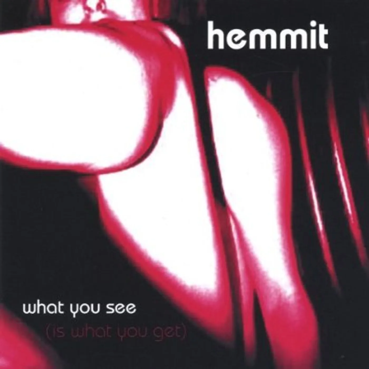 Hemmit WHAT YOU SEE IS WHAT YOU GET CD