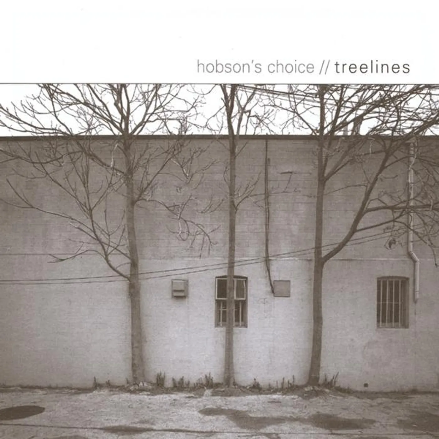 Hobson's Choice TREELINES CD