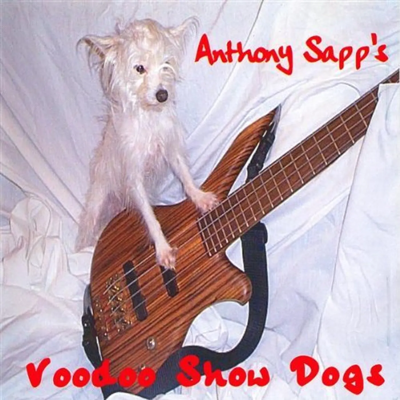 Anthony Sapp VOODOO SHOW DOGS CD