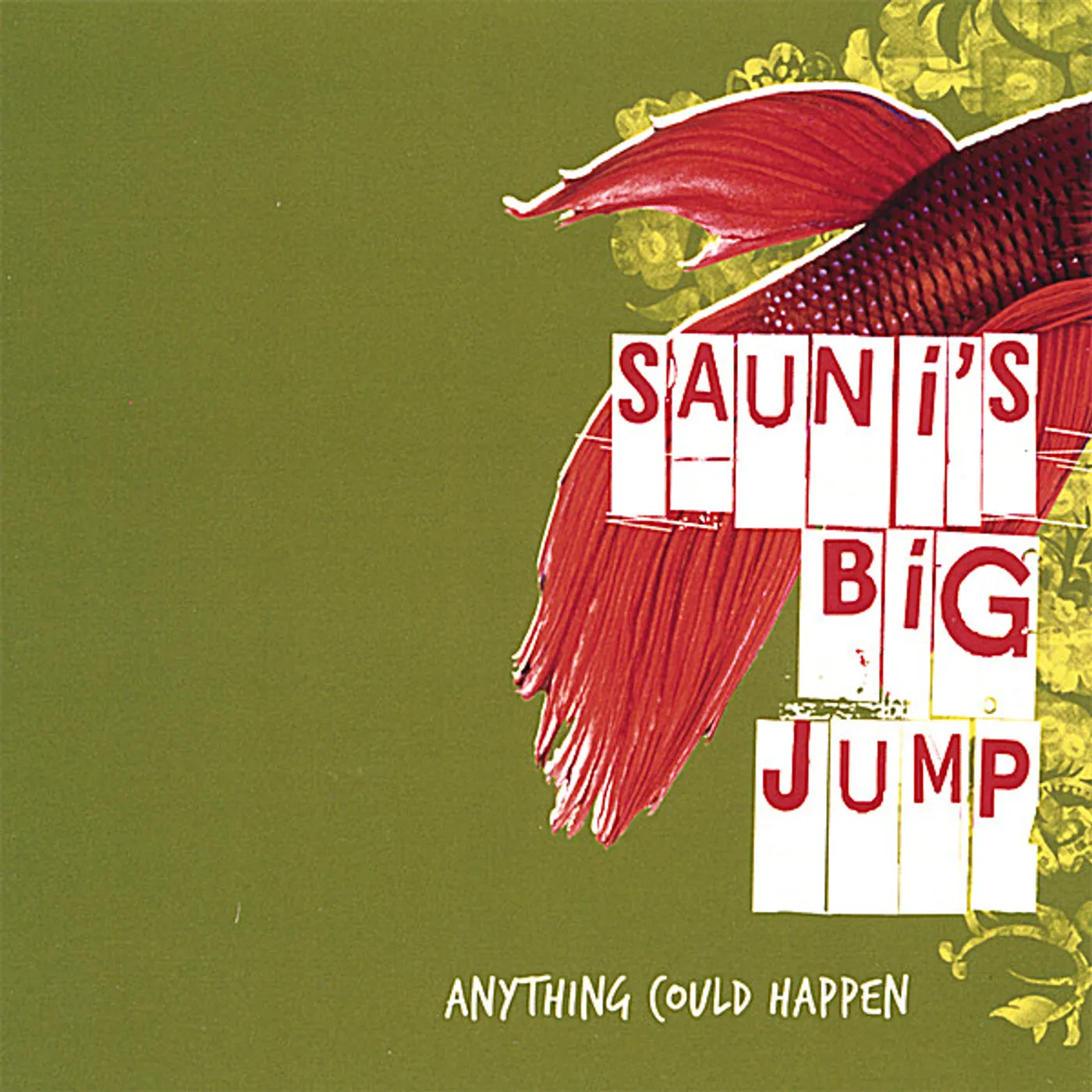 Sauni's Big Jump ANYTHING COULD HAPPEN CD